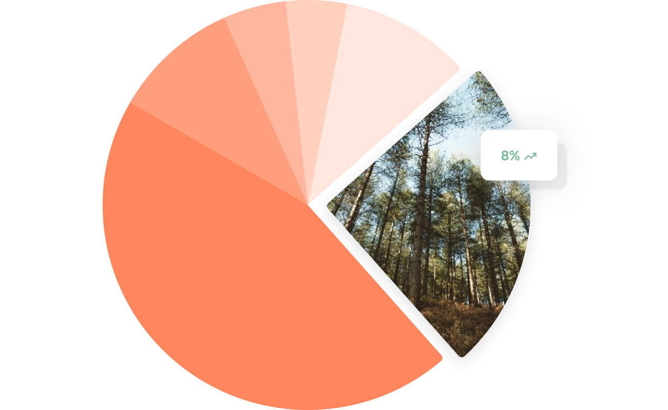 natural capital in finance pie chart